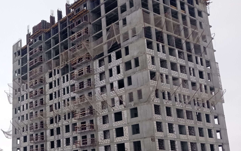 Январь 2023 г.